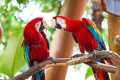 DF称PSSR在多个方面超越了FSR 3.1